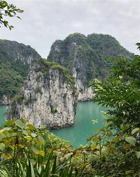 An Unforgettable Bai Tu Long Bay Cruise Vietnam Yolo Travel Experiences