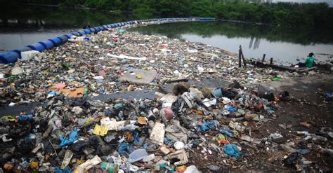 The cidade de deus is a west zone neighbourhood of the rio de janeiro city. RJ suspende limpeza olímpica da Baía de Guanabara: 'para ...