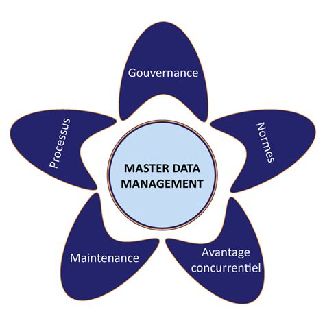 The hr master data is just as important as any other part of your masterdata. Master Data Management définition et enjeux stratégiques ...