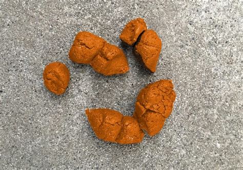 Why Is My Dogs Poop Orange Should I Be Worried Superb Dog
