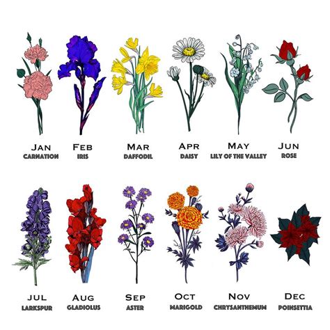 Birth Month Flower Namastest