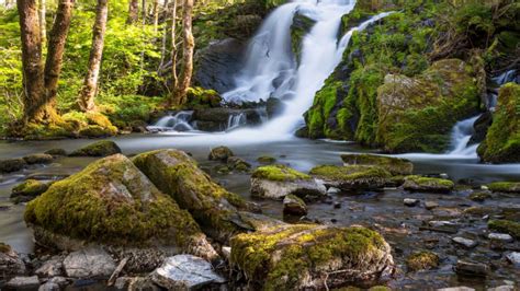 Beautiful Waterfall Fana Kulturpark Norway Rocks Trees Bushes Green Moss Landscape Nature Hd