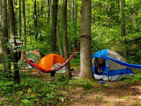 Best State Parks To Go Camping In Minnesota Minnesota Campgrounds