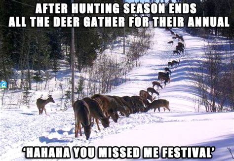 Funny Quotes About Deer Season Quotesgram