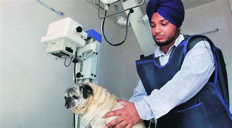 Independent medical diagnostic laboratory smart lab solutions, sofia. Finally, a vet lab for your pet | Cities News,The Indian ...