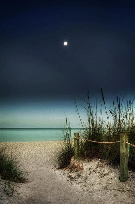 Full Moon Beach Photograph By Greg And Chrystal Mimbs Fine Art America