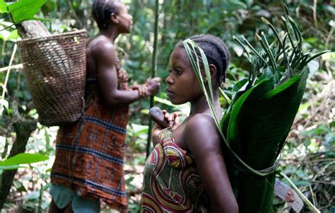 Two Women In The Jungle With Baskets On Their Backs One Holding A
