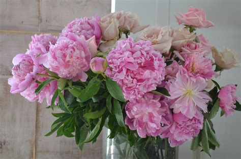 Select from premium peony of the highest quality. Simply me: Beautiful Peonies..
