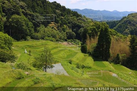 近くに緑豊かな緑の丘陵のアップの写真・画像素材 1247518 Snapmart（スナップマート）