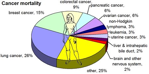 Filemost Common Cancers Female By Mortalitypng New World