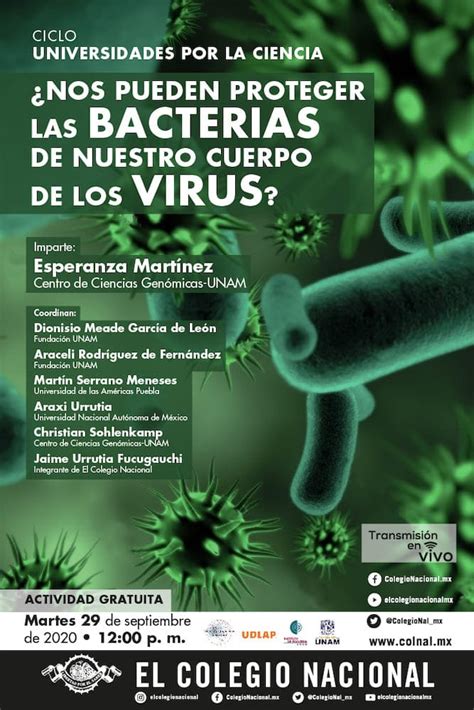 Nos Pueden Proteger Las Bacterias De Nuestro Cuerpo De Los Virus