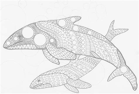 Adult Coloring Pages Animals Whale Tripafethna