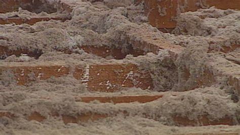 Check spelling or type a new query. Home owners urged to check for loose-fill asbestos, known ...