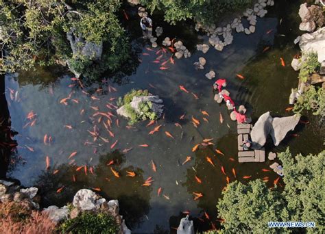 Scenery Of Qinghui Garden In Foshan City Guangdong Cn