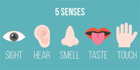 Five Senses Icon Flat Design With Name Sight Hear Smell Taste Touch Stock Illustration