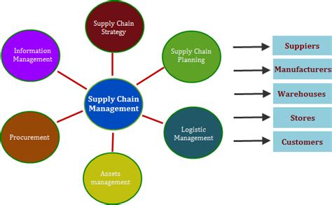 Key Features Of Supply Chain Management Software