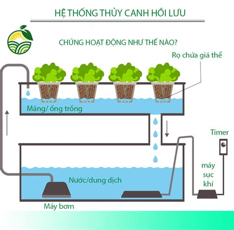 Thủy Canh