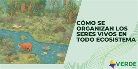 Cómo Se Organizan Los Seres Vivos En Todo Ecosistema Colombia Verde