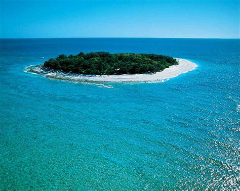 Primorism Island Great Barrier Reef Australia
