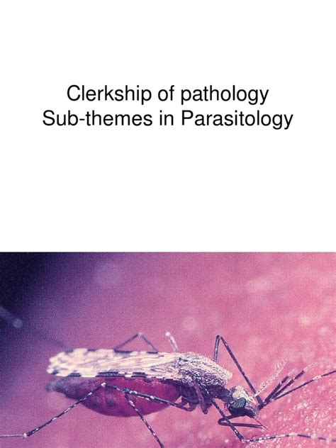 Clerkship Of Pathology Sub Themes In Parasitology Pdf