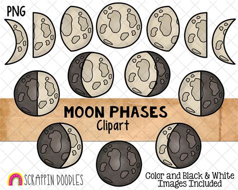 Moon Phases Clipart Moon Clip Art New Moon Graphics Full Etsy