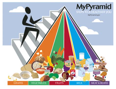 Nutrition With Different Food Pyramids And Plates Hubpages