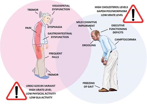 Parkinsons Disease In Women And Men Whats The Difference Ios Press