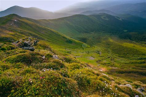 Colorful Summer Landscape In The Carpathian Mountains Stock Photo