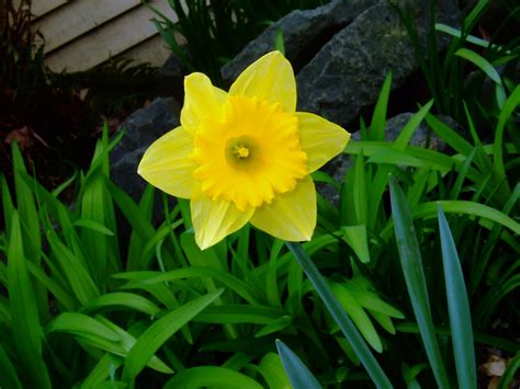 In western and southern regions, the hottest month is april; One can't get over the habit of being a little girl all at ...