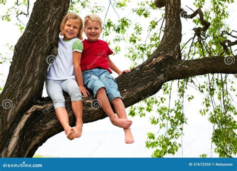 Junge Und Mädchen Die Auf Einem Baum Sitzen Stockfoto Bild 37672550