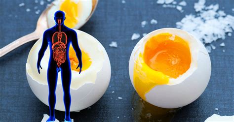 Bile is a digestive fluid produced in your liver and stored in your gallbladder. Eat More Eggs: How 3 Per Day Can Impact Your Body
