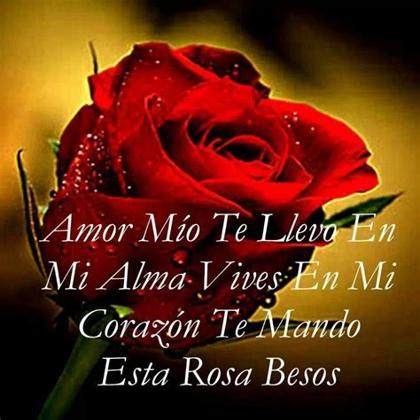 Imagen De Una Rosa Con Mensaje De Amor ∞ Sólo Imagenes De Amor ∞ Rosas Con Mensajes