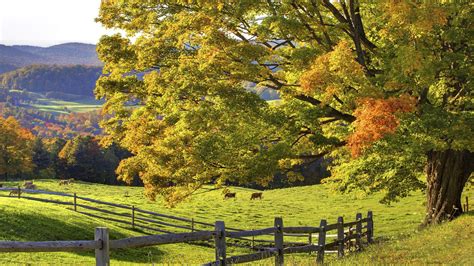 Country Scenery Wallpaper 61 Images