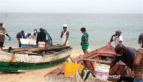 Jornal De Angola Notícias Luta Pela Sobrevivência Leva Forasteiros à Beira Mar