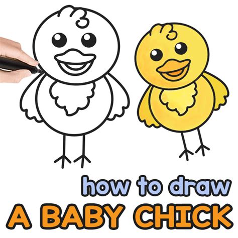 How To Draw A Baby Chick Step By Step Drawing Guide En Vik News