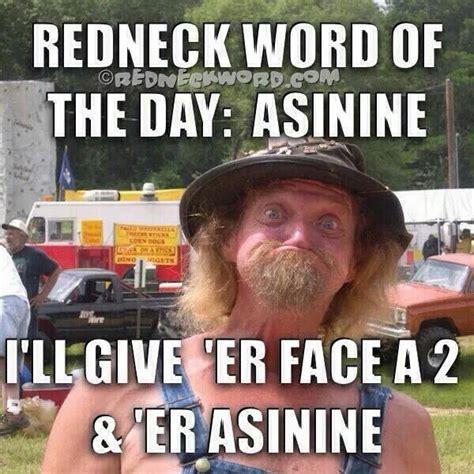 Redneck Word Of The Day Budweiser