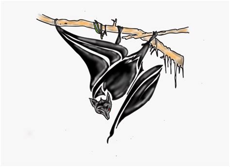 Bat Tattoos Design Illustration Hd Png Download Kindpng