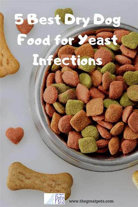 Best Dog Food For Skin Allergies 2020 Wava Ragsdale