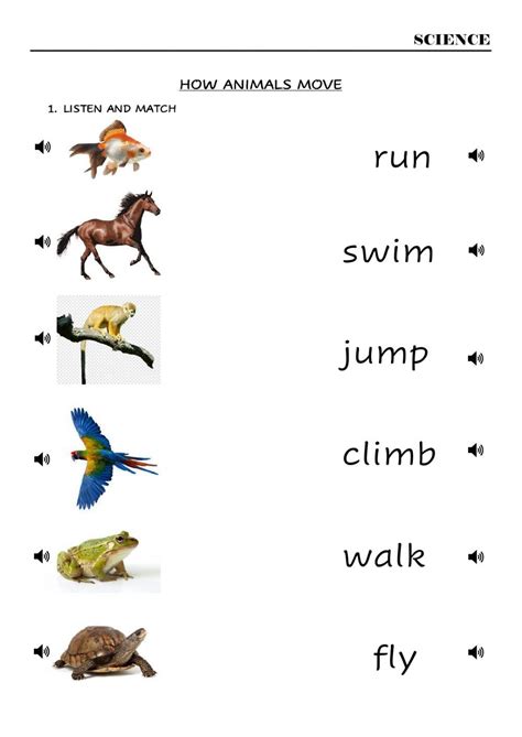 Animal Characteristics Online Worksheet For Grade 2 You Can Do The