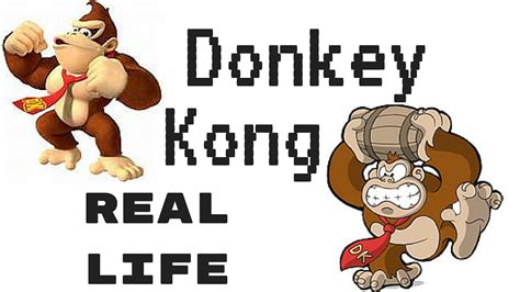 Donkey Kong In Real Life Youtube