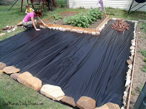 Covering men's basketball, women's basketball and allegedly football. Backyard makeover on a budget