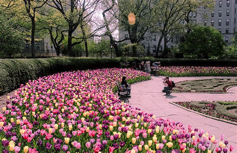 Central Park Nyc Conservatory Garden Spring In New York Urban Garden