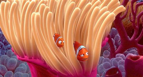 12 Things You Didnt Know About Finding Nemo Oh My Disney