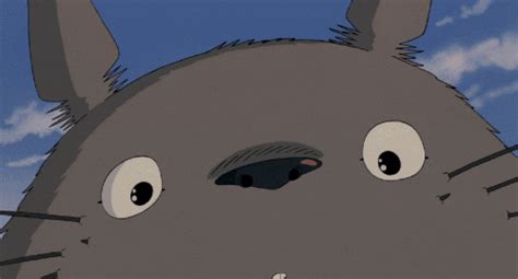 Now only a day away from remember, this only applies to netflix regions outside of the us and canada, who will not be receiving any of the studio ghibli titles until the. Everything You Need to Know About the Studio Ghibli ...