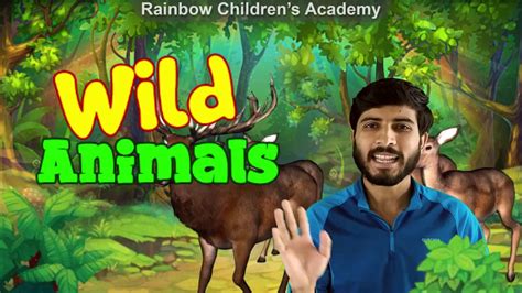 Wild Animals Youtube