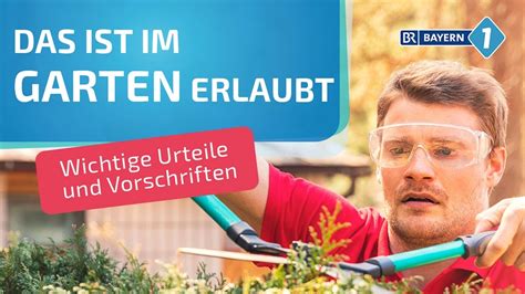 Hecke pflanzen thuja erster heckenschnitt tutorial hd. 44 HQ Images Hecke Schneiden Wann Erlaubt : Hecke ...