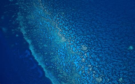 Wallpaper Sea Nature Blue Underwater Aerial View Coral Reef