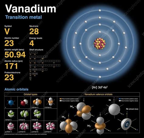 Vanadium Atomic Structure Stock Image C0183704 Science Photo