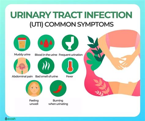 Urinary Tract Infection Uti Symptoms What It Feels Like Off