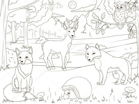 Forêt De Livre De Coloriage Avec Des Animaux De Dessin Animé — Image in